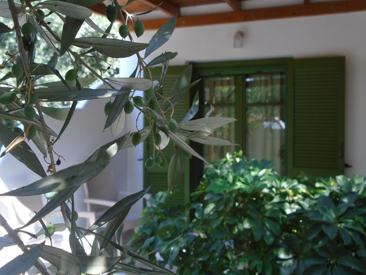 Leros Eleonas Apartments Алинда Экстерьер фото