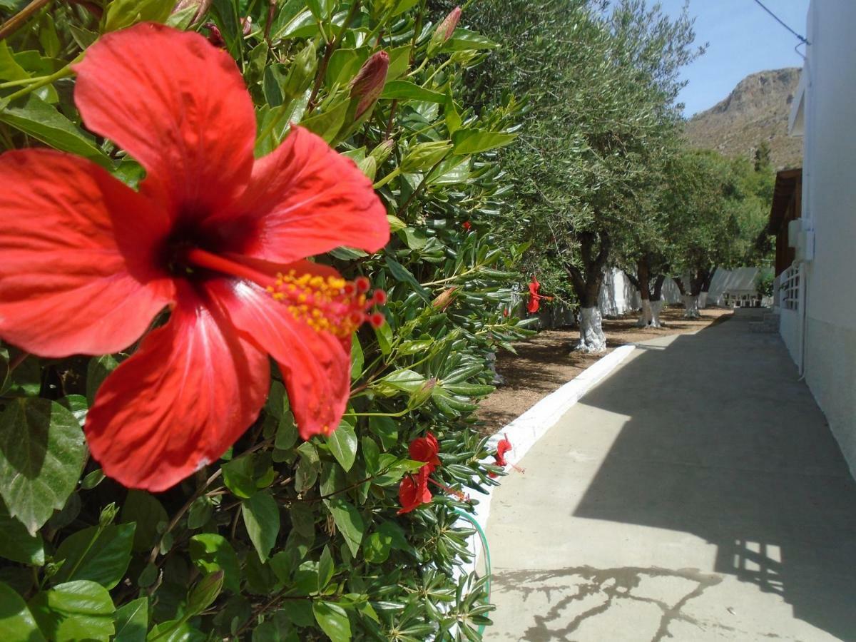 Leros Eleonas Apartments Алинда Экстерьер фото